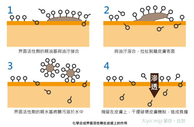 洗髮精的清潔機制