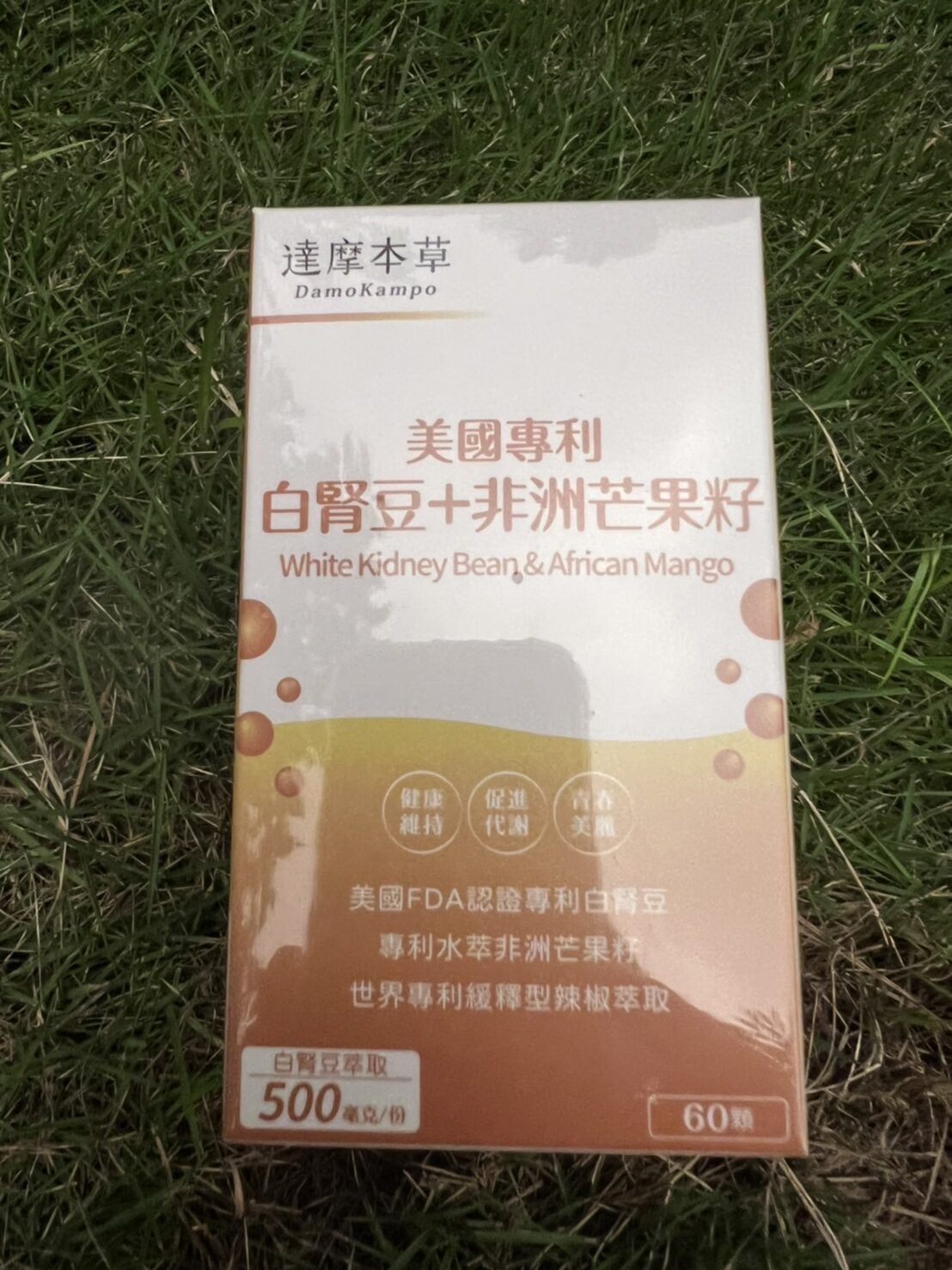 【達摩本草】美國專利白腎豆+非洲芒果籽